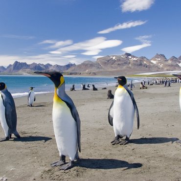 Antarctica yacht charter